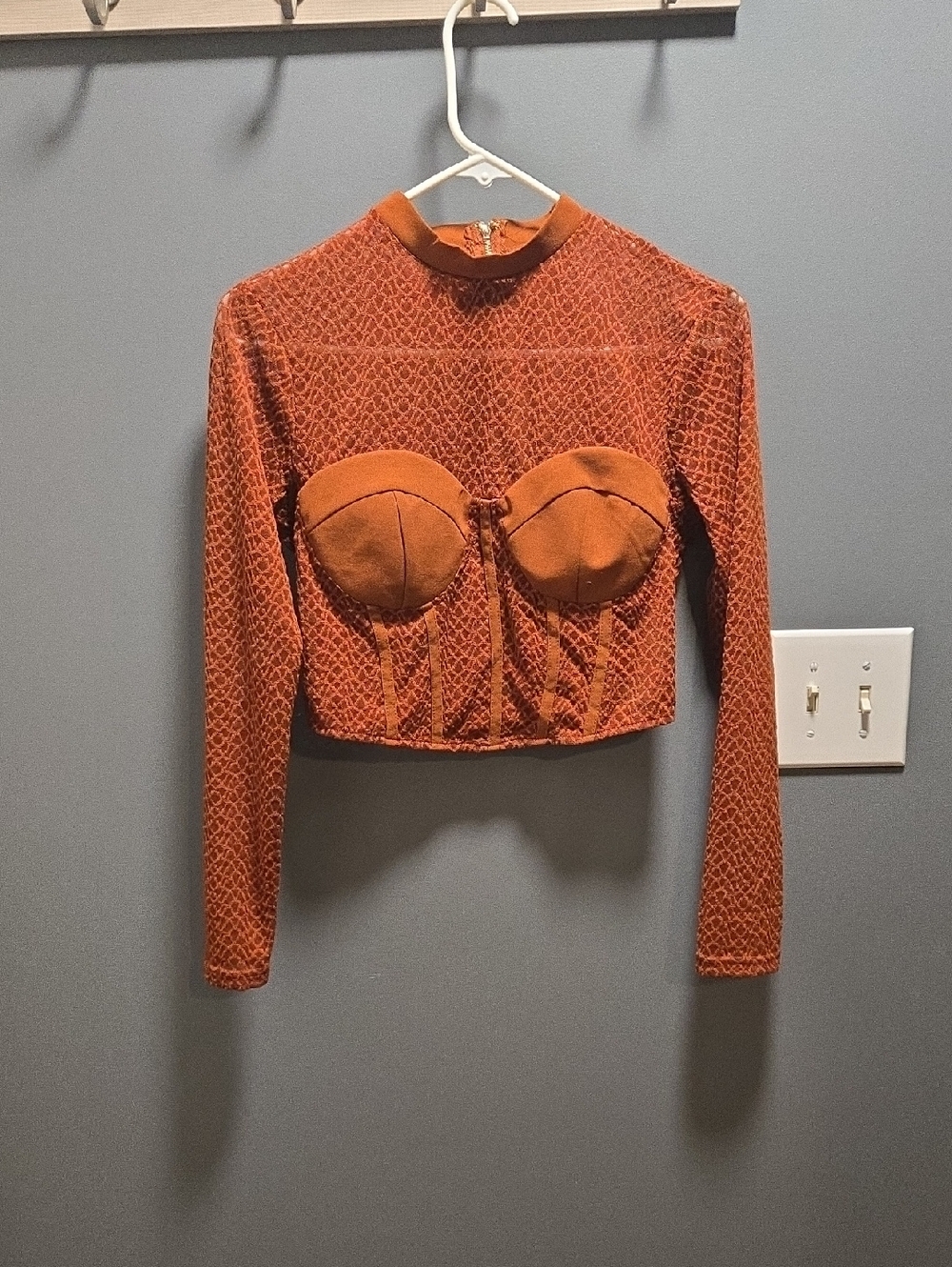 privy Rust Long-Sleeve Crop Top